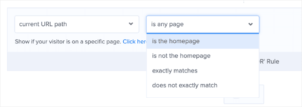 multi step conversions - current url path